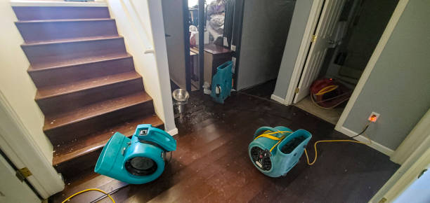 Best Local water damage restoration  in Covedale, OH