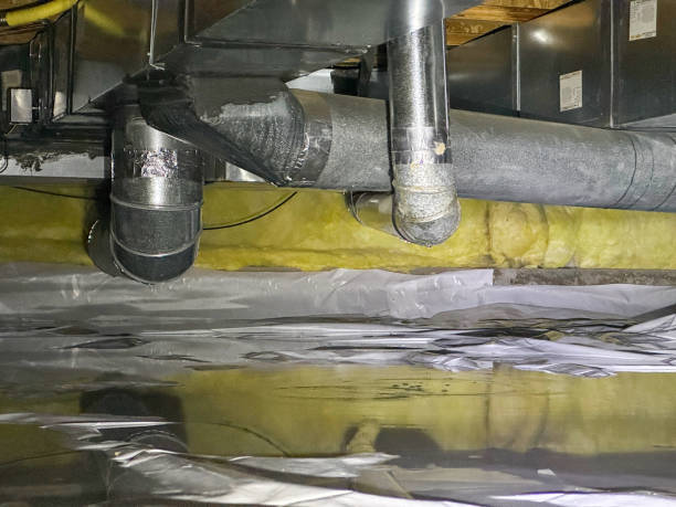 Best Mold removal after water damage  in Covedale, OH