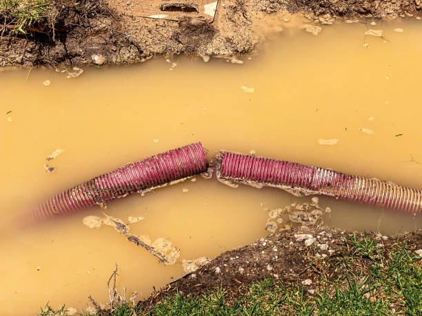 Best Water damage contractors near me  in Covedale, OH